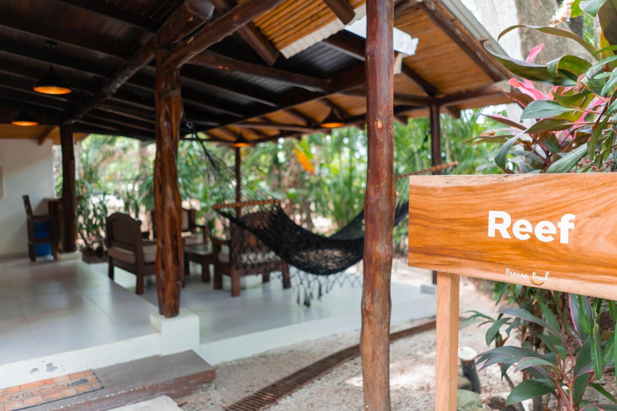 Banana Beach Bungalows Playa Santa Teresa  المظهر الخارجي الصورة