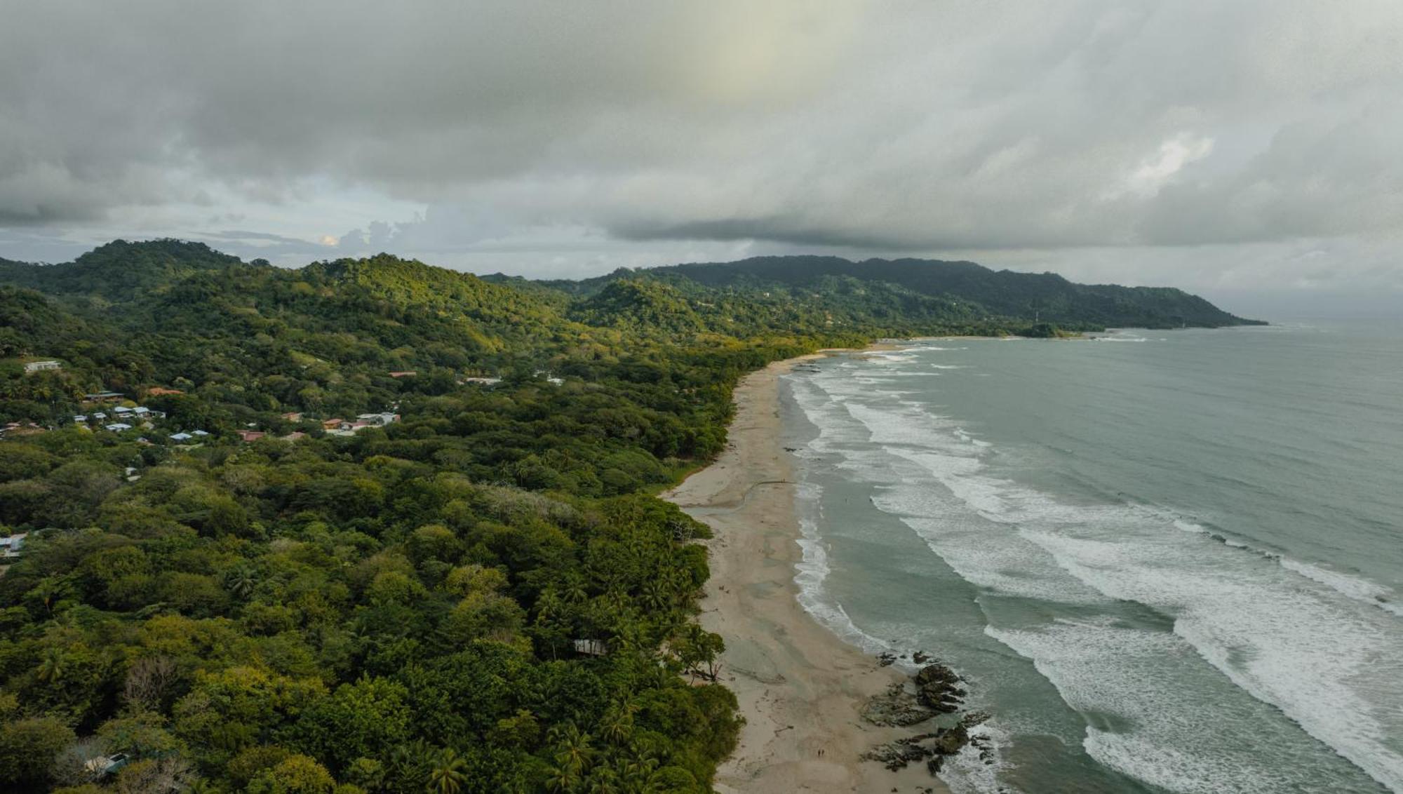 Banana Beach Bungalows Playa Santa Teresa  الغرفة الصورة